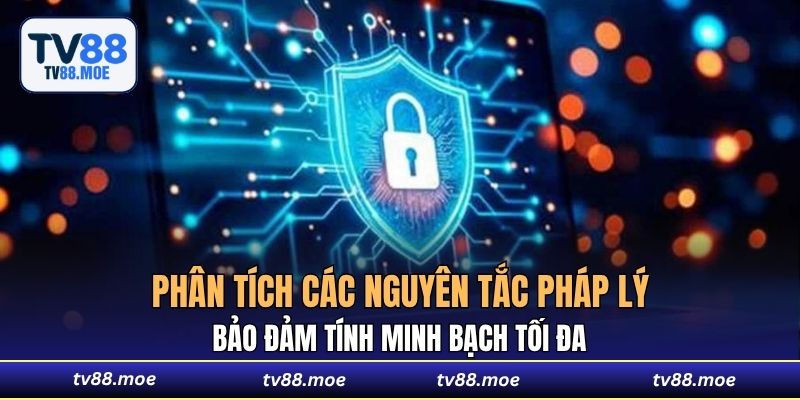 Phân tích các nguyên tắc pháp lý bảo đảm tính minh bạch tối đa